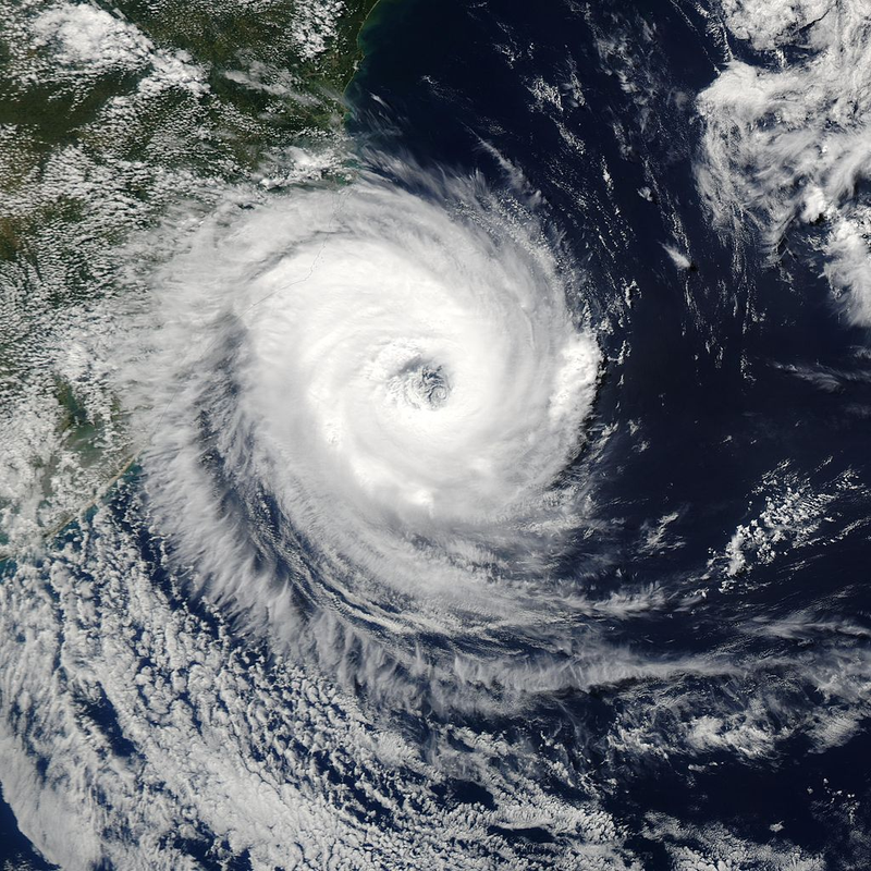 Catarina. Wikimedia Commons